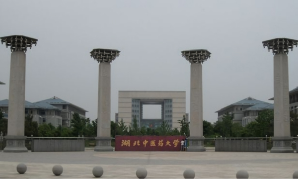 湖北中醫(yī)藥大學(xué)儀器設(shè)備采購(gòu)